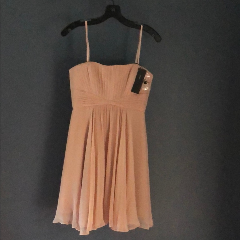 Blush BCBG Strapless Dress